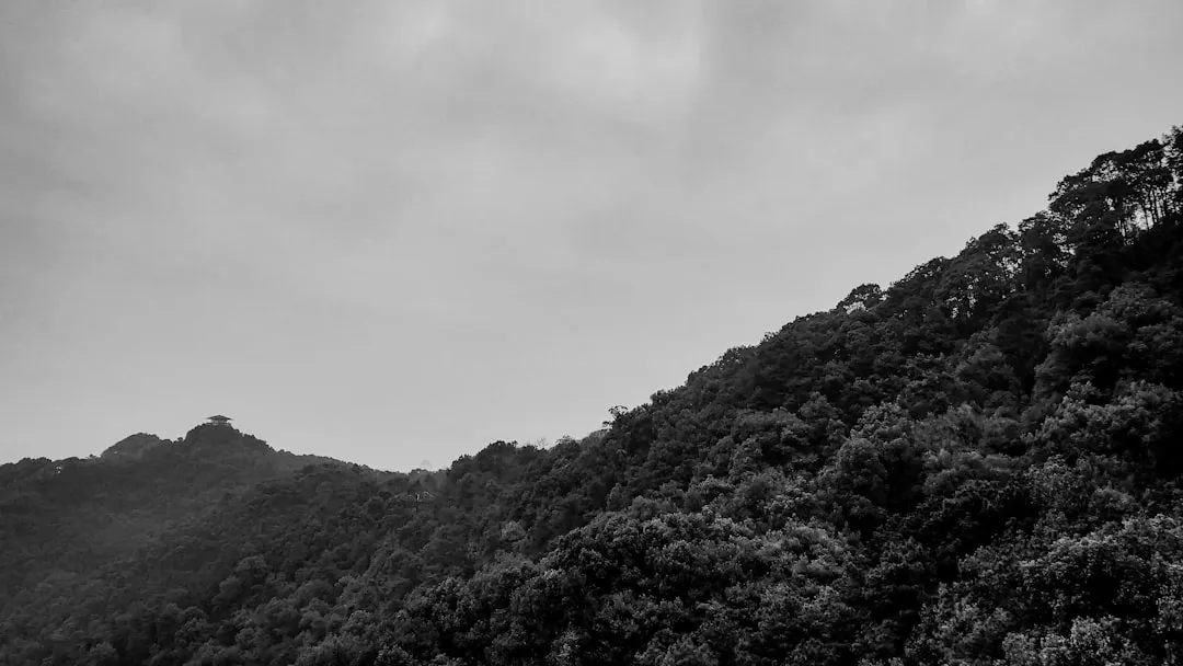 电子白板与教学投影机协同应用场景及技术解析