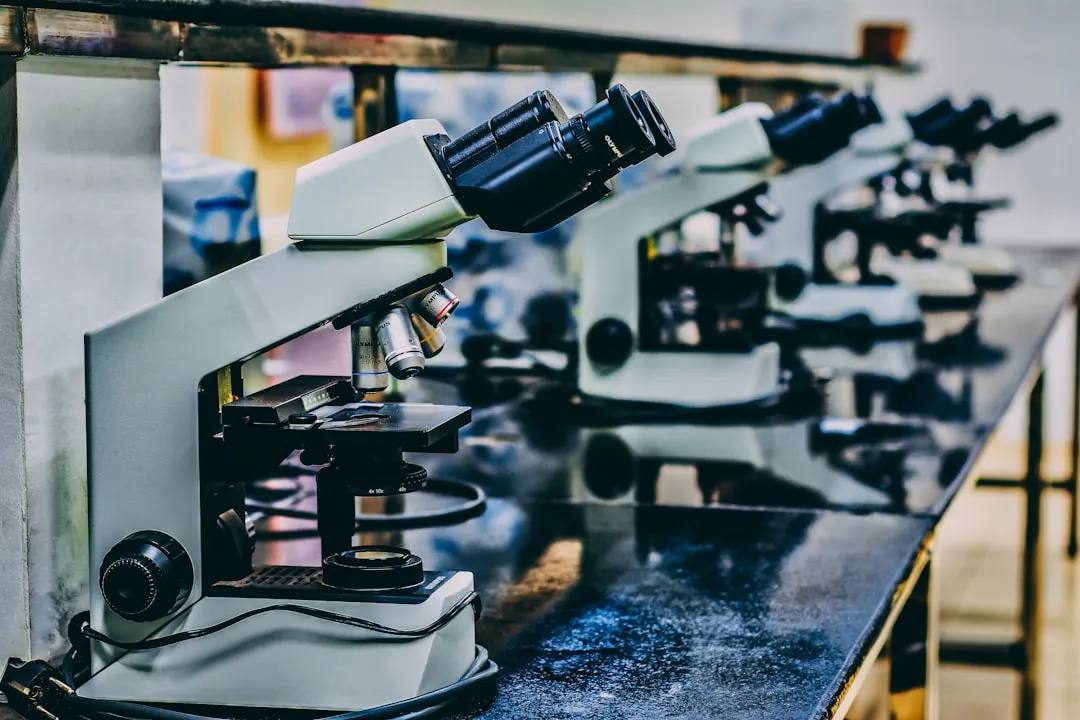 教学投影机与电子白板联动方案在云南教育机构的应用实践