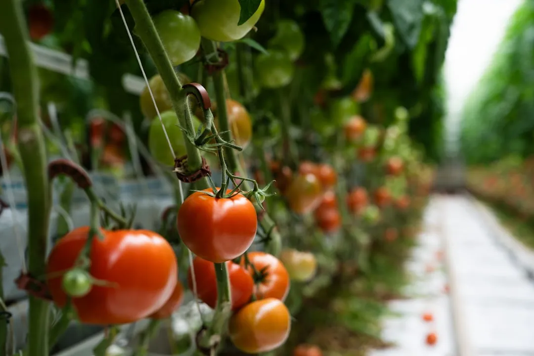 昆明教学投影机与电子白板搭配方案：打造高效互动课堂